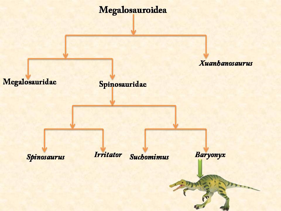 Baryonyx dinosaur family